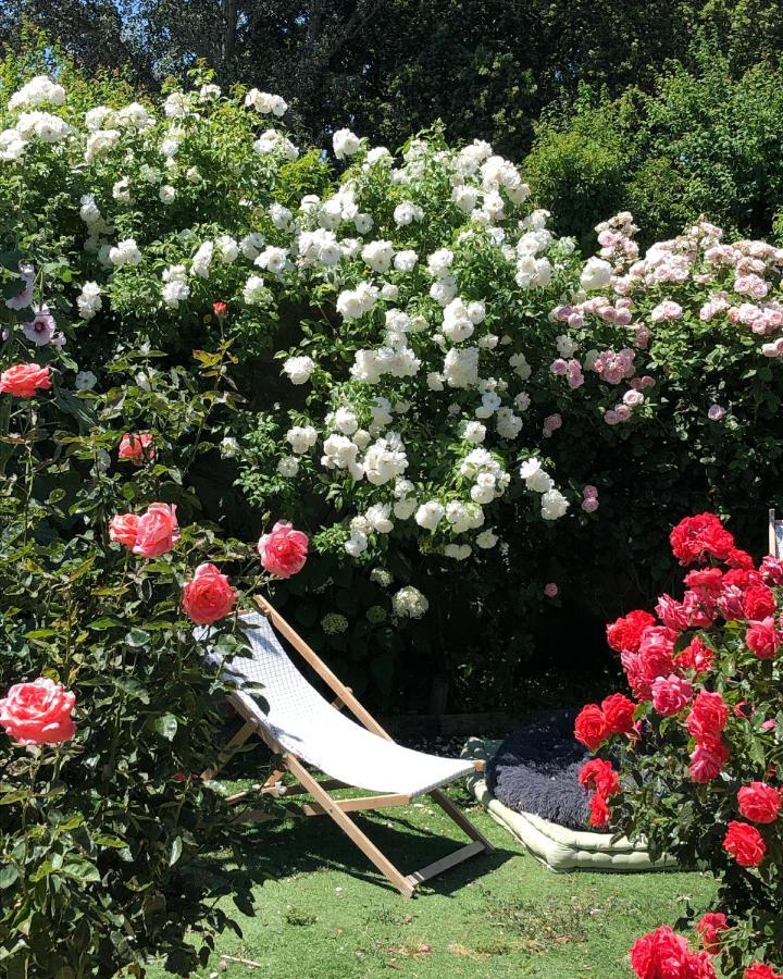 Bed and Breakfast Lulu En Provence LʼIsle-sur-la-Sorgue Exterior foto