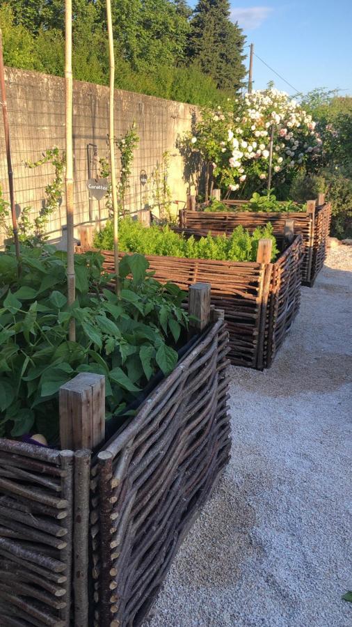 Bed and Breakfast Lulu En Provence LʼIsle-sur-la-Sorgue Exterior foto